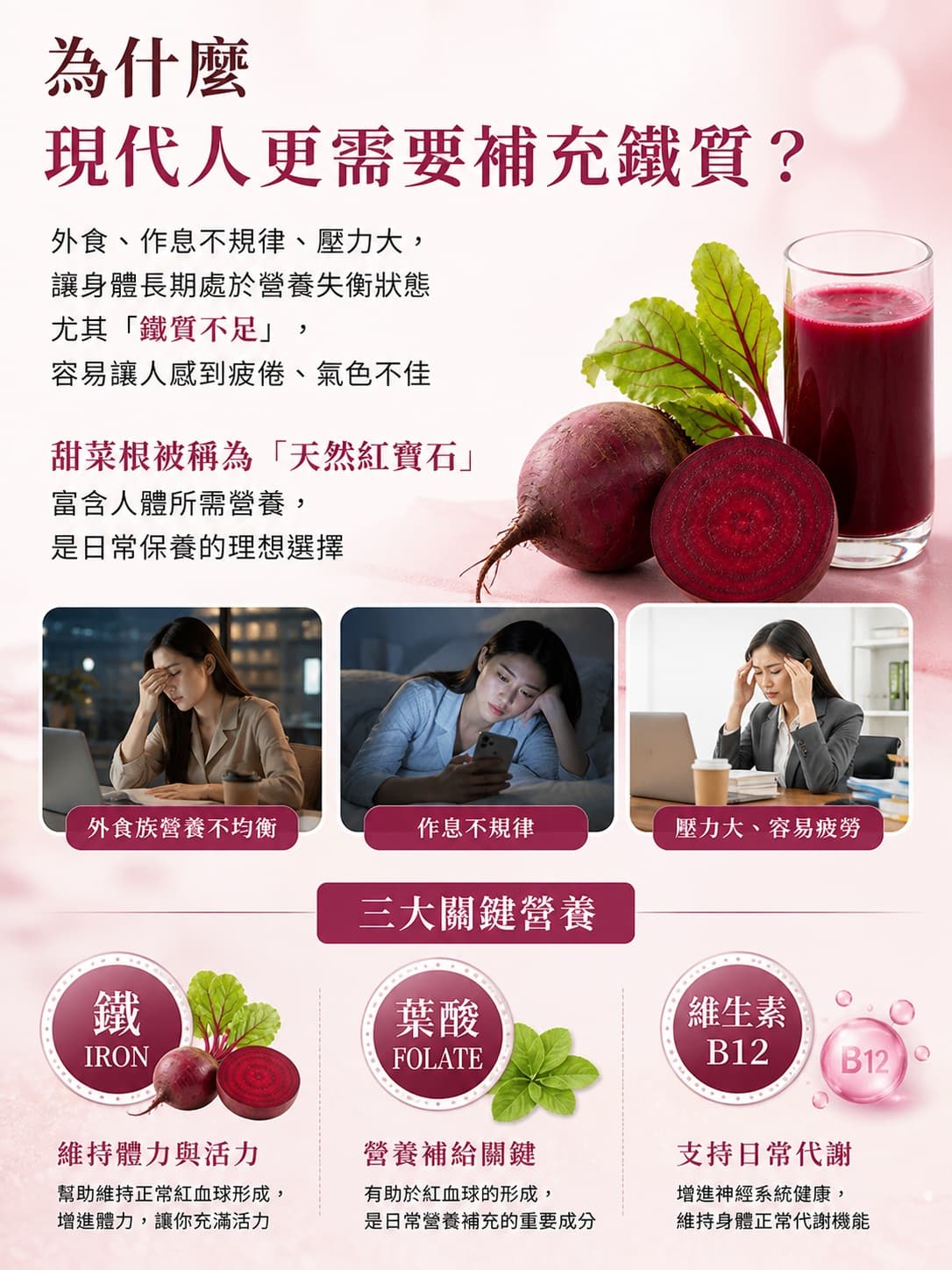 高鐵甜菜根 圖 2