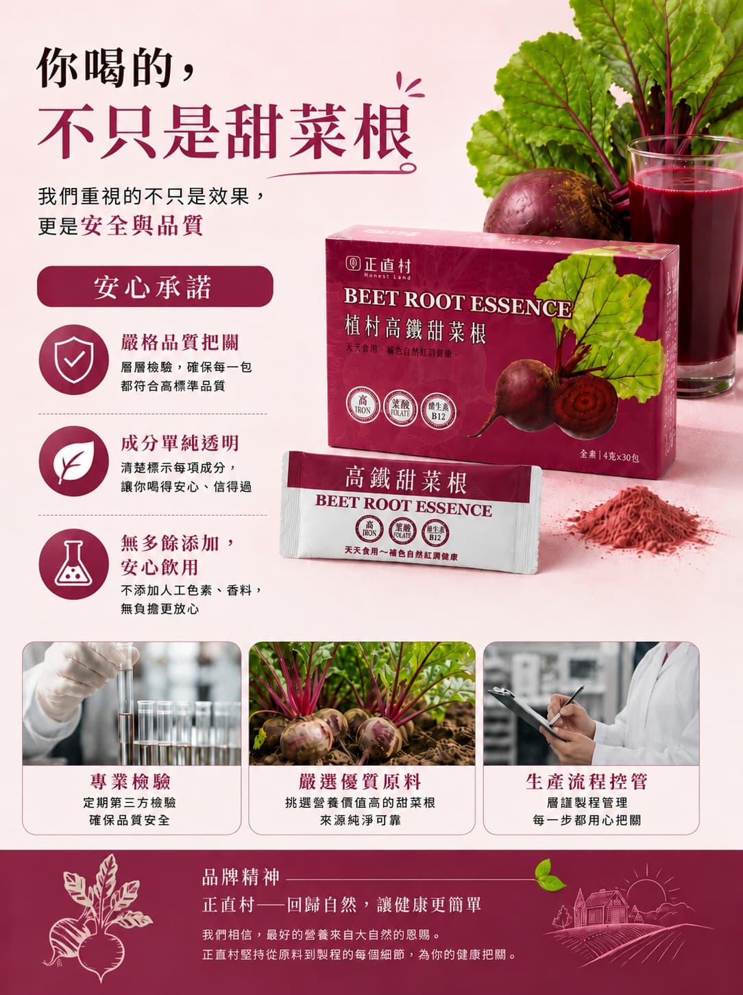 高鐵甜菜根 圖 5